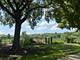 66 Bluff, Trout Valley, IL 60013