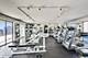 450 W Briar Unit 11H, Chicago, IL 60657