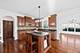 12929 Alpine, Plainfield, IL 60585