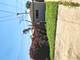 431 Oak, Des Plaines, IL 60016