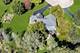 3696 Tamarack, Crystal Lake, IL 60012
