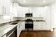 4717 W Berteau, Chicago, IL 60641