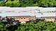 4250 Saratoga Unit L305, Downers Grove, IL 60515