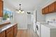 337 S Orchard, Park Forest, IL 60466
