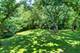 47 S Wynstone, North Barrington, IL 60010