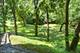 47 S Wynstone, North Barrington, IL 60010