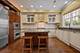 861 Laurel, Highland Park, IL 60035