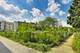 7730 N Paulina Unit 1, Chicago, IL 60626