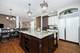 10924 Crystal Springs, Orland Park, IL 60467