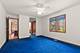 10993 Pioneer, Frankfort, IL 60423