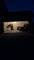 304 Brynn, Manhattan, IL 60442
