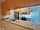9655 Woods Unit 1807, Skokie, IL 60077