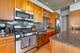 125 E 13th Unit 1113, Chicago, IL 60605