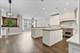 1828 W Larchmont, Chicago, IL 60613