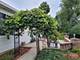 236 Jonathan, Bolingbrook, IL 60490