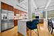 2000 S Michigan Unit 208, Chicago, IL 60616