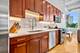 2000 S Michigan Unit 208, Chicago, IL 60616
