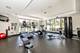 229 Park Unit 202, Clarendon Hills, IL 60514