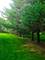 1608 Breezy Lawn, Spring Grove, IL 60081