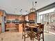 13905 Trillium, Plainfield, IL 60544