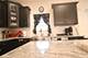 4215 Chinaberry, Naperville, IL 60564