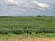 10.38 acres S Heggs, Plainfield, IL 60585