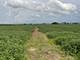 10.38 acres S Heggs, Plainfield, IL 60585