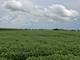10.38 acres S Heggs, Plainfield, IL 60585