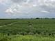 10.38 acres S Heggs, Plainfield, IL 60585