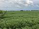 10.38 acres S Heggs, Plainfield, IL 60585