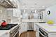 886 W Lill Unit 1, Chicago, IL 60614