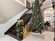 2223 Spartina, Naperville, IL 60564
