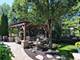 2223 Spartina, Naperville, IL 60564