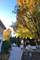 2223 Spartina, Naperville, IL 60564
