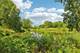 841 Black Walnut, Sugar Grove, IL 60554
