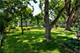 1137 Overton, Naperville, IL 60540