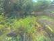 52 E 37th, Chicago, IL 60653