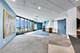 3660 N Lake Shore Unit 3702, Chicago, IL 60613