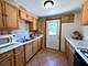 1824 Endicott, Carpentersville, IL 60110