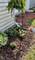 1489 Woodcutter Unit A, Wheaton, IL 60189