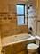 1367 E 64th Unit 2, Chicago, IL 60637