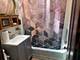 2751 W Maypole, Chicago, IL 60612