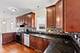 3741 S Wolcott, Chicago, IL 60609