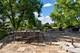 648 Long Cove, Riverwoods, IL 60015