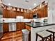 703 W Wellington Unit G, Chicago, IL 60657