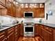 703 W Wellington Unit G, Chicago, IL 60657