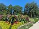 6814 N Ashland Unit 1-C, Chicago, IL 60626