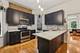 733 W Briar Unit 1W, Chicago, IL 60657