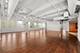 1301 S Wabash Unit 1, Chicago, IL 60605