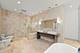 1301 S Wabash Unit 1, Chicago, IL 60605